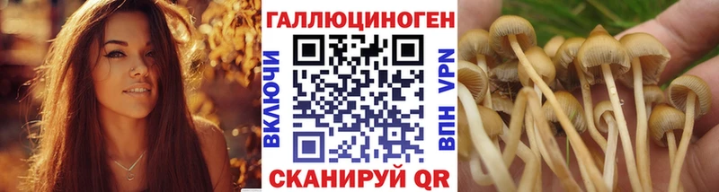 Псилоцибиновые грибы прущие грибы  наркошоп  Биробиджан 