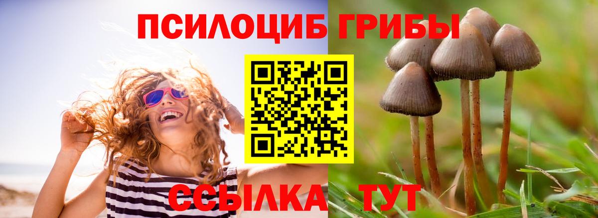 Галлюциногенные грибы Psilocybine cubensis  Псилоцибиновые грибы прущие грибы  Вход с VPN  где купить наркотик  Биробиджан 